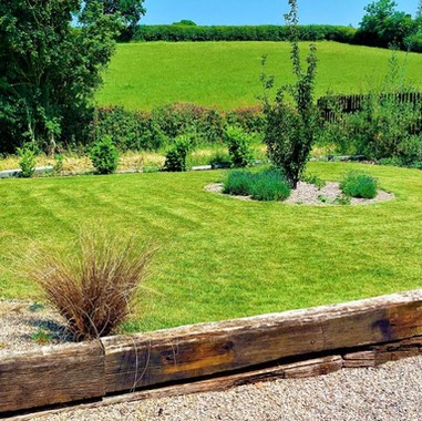 Tom Garden view